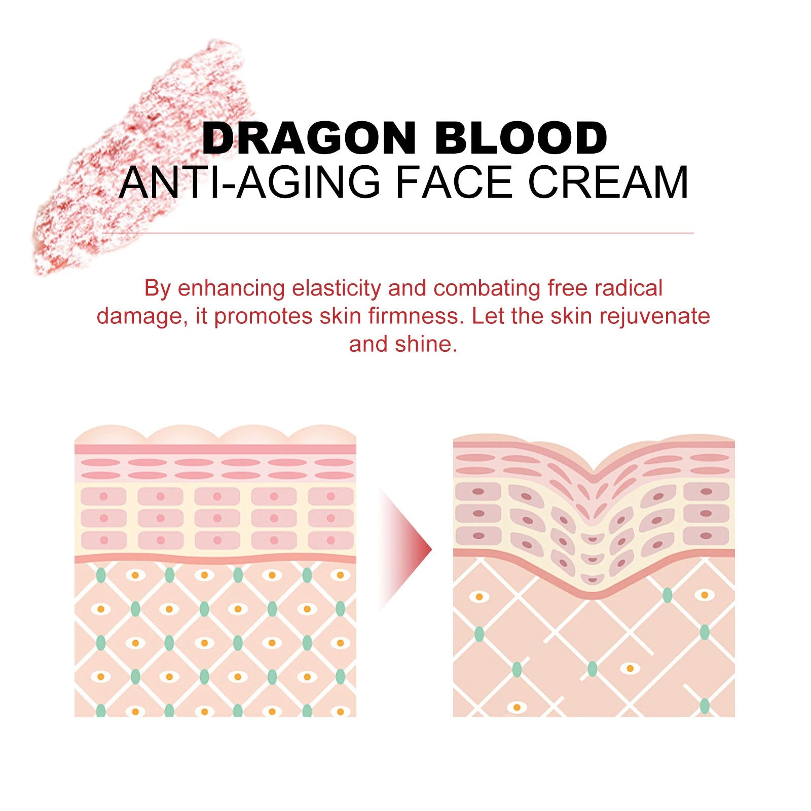 Dragon's Blood Hyaluronic Acid Cream Anti-Aging Face Moisturizer Pore Refining & Skin Repair Brightening Cream for Skin Care by PETAL & GLOW