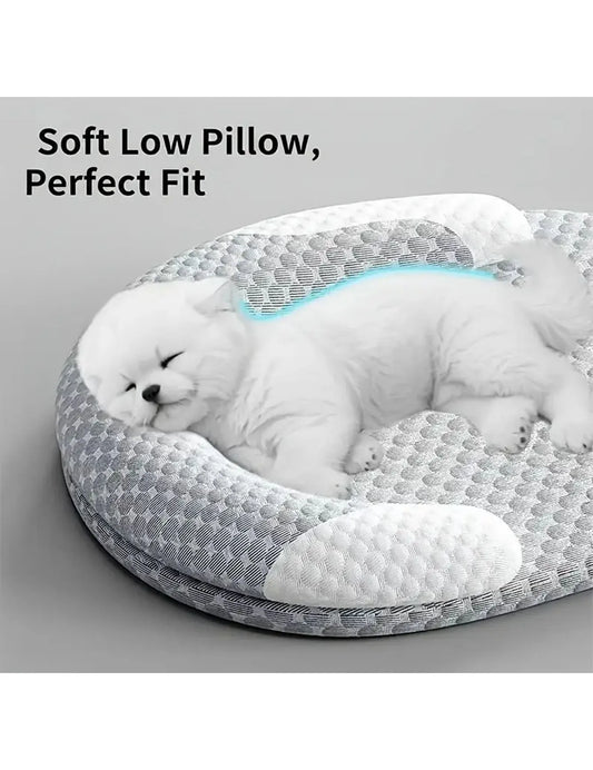 Premium Dog Bed And Pet Furniture With Mats Hammock And Sofas