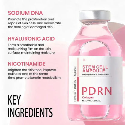 PDRN Stem Cell Anti-Aging Serum — Collagen Ampoule 30ml