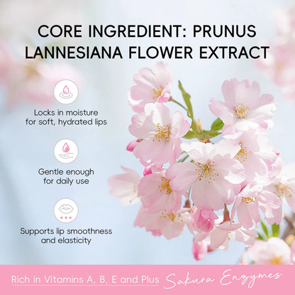 LAIKOU Japan Sakura Lip Balm 3.5g Shea Butter Vitamin E Nourishing Hydrating Moisturizer For Dry Chapped Lips Daily Lip Repair